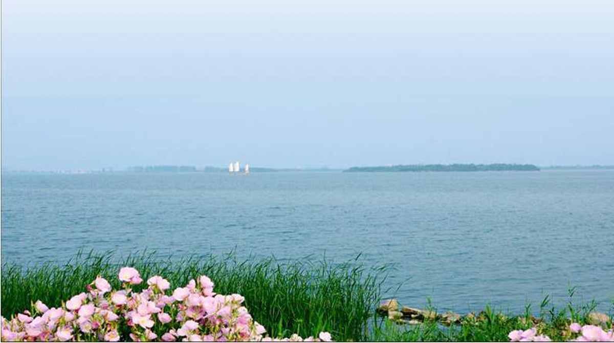 代表項目傀儡胡水源生態(tài)凈化項目