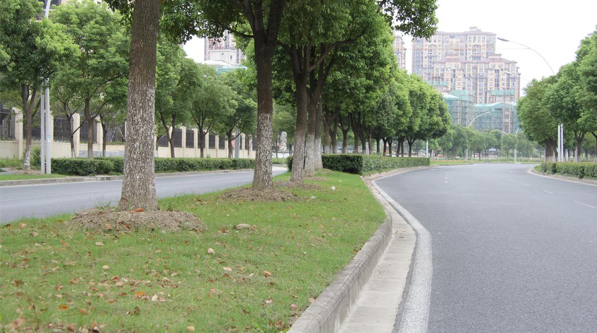 代表項目濱江路項目